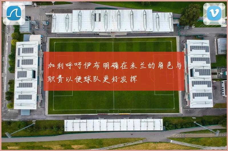 加利呼吁伊布明确在米兰的角色与职责以便球队更好发挥