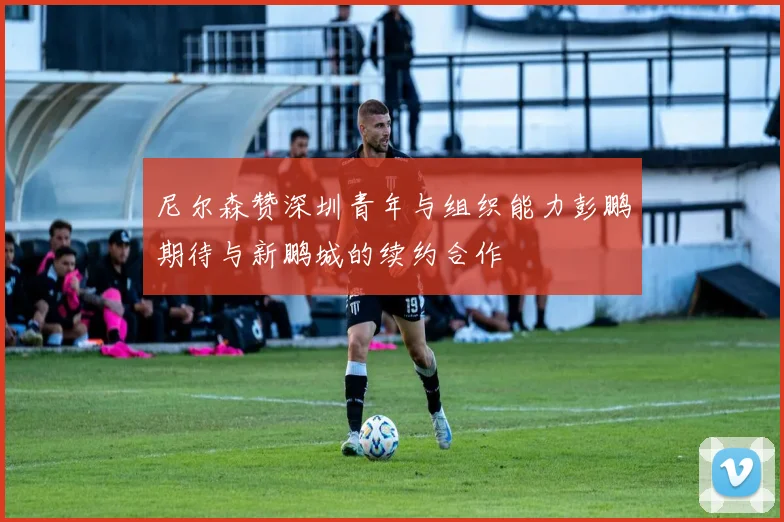 尼尔森赞深圳青年与组织能力彭鹏期待与新鹏城的续约合作